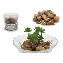 Charger l&#39;image dans la galerie, Boîte Pierre (11,5 x 10 x 11,5 cm)