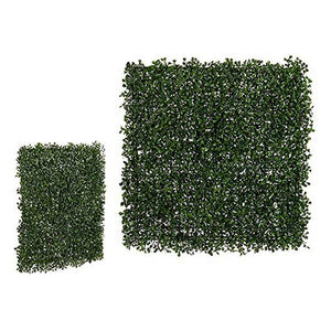 Plante décorative Plastique (4 x 50 x 50 cm)