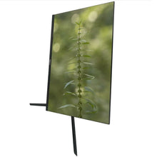 Charger l'image dans la galerie, Écran approx! APPM24B Full HD 75 Hz 23,8" LED VA