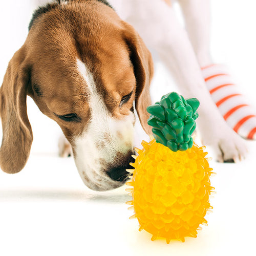 Jouet pour Chien Fruits