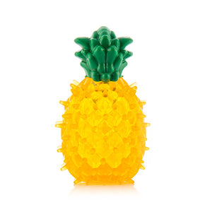 Jouet pour Chien Fruits