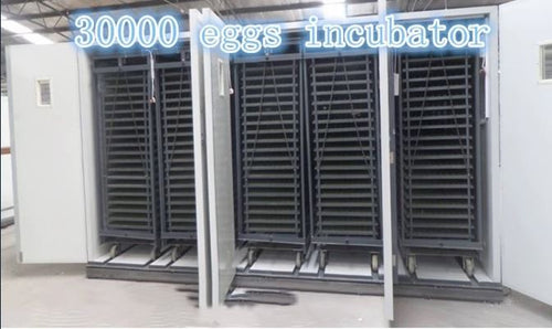 INCUBATEUR AUTOMATIQUE, 33792 OEUFS INCUBATEUR COUVEUSE