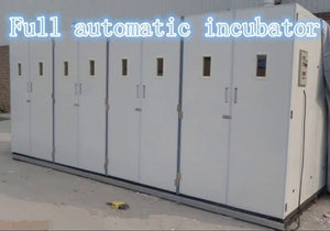 INCUBATEUR AUTOMATIQUE, 33792 OEUFS INCUBATEUR COUVEUSE