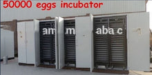 Charger l&#39;image dans la galerie, LE PLUS GRAND INCUBATEUR AUTOMATIQUE 50 000 D&#39;OEUFS DE VOLAILLE