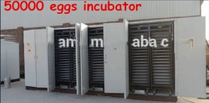 LE PLUS GRAND INCUBATEUR AUTOMATIQUE 50 000 D'OEUFS DE VOLAILLE