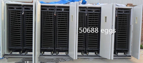 LE PLUS GRAND INCUBATEUR AUTOMATIQUE 50 000 D'OEUFS DE VOLAILLE